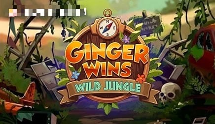 Ginger Wins